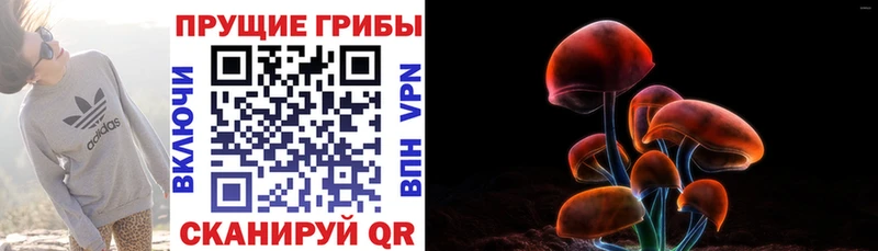 Галлюциногенные грибы мухоморы  продажа наркотиков  Краснодар 